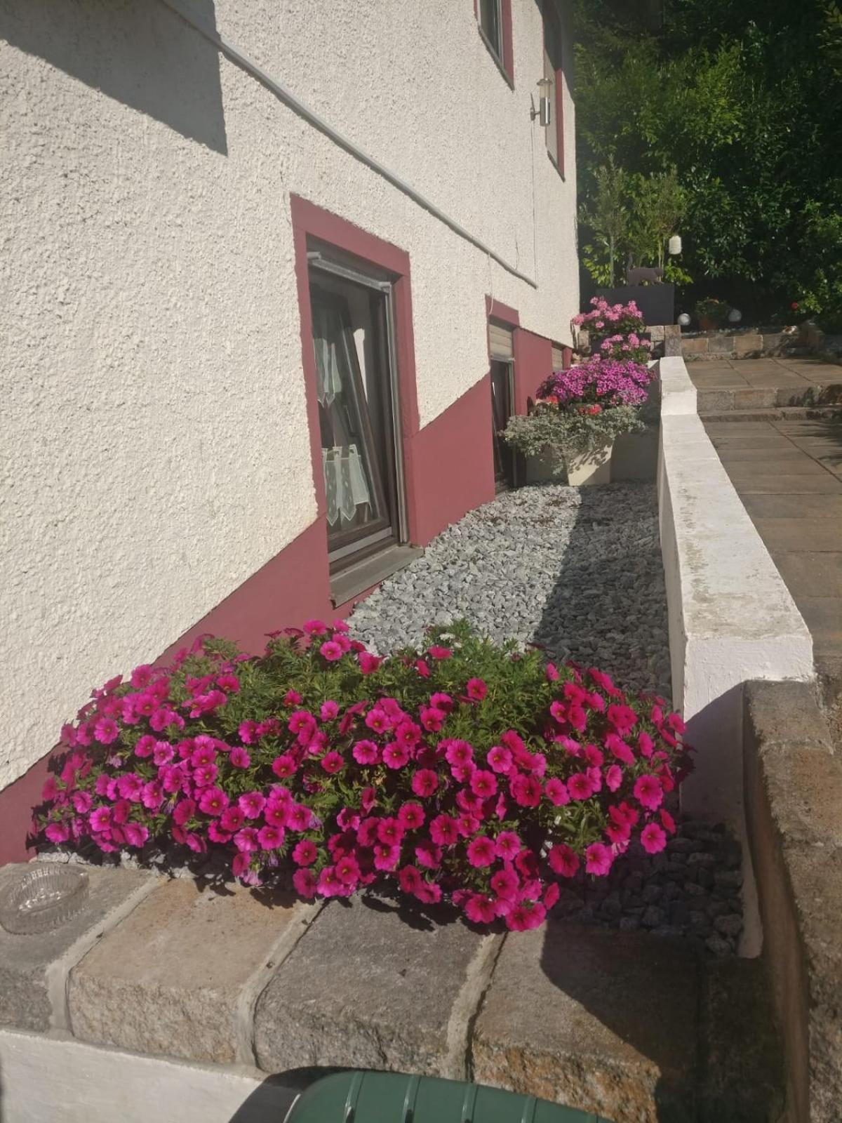 Apartments In Behringersmuehle غوسوينستين المظهر الخارجي الصورة