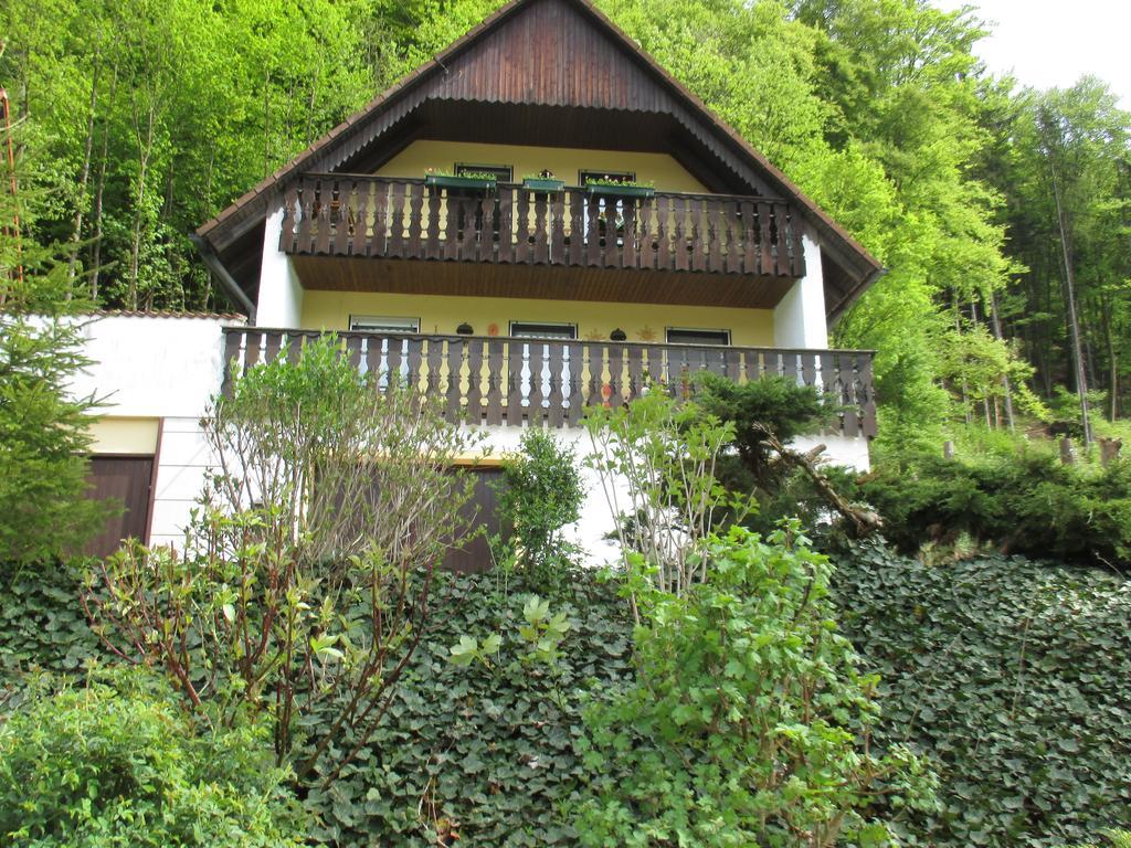 Apartments In Behringersmuehle غوسوينستين المظهر الخارجي الصورة