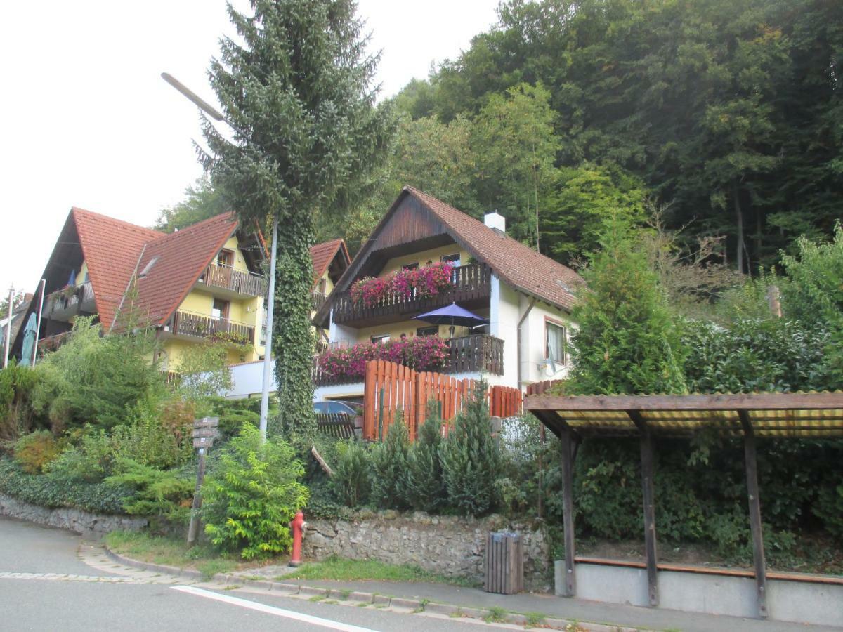 Apartments In Behringersmuehle غوسوينستين المظهر الخارجي الصورة